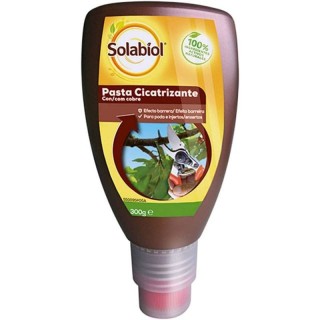 Pasta Cicatrizante Solabiol 300g