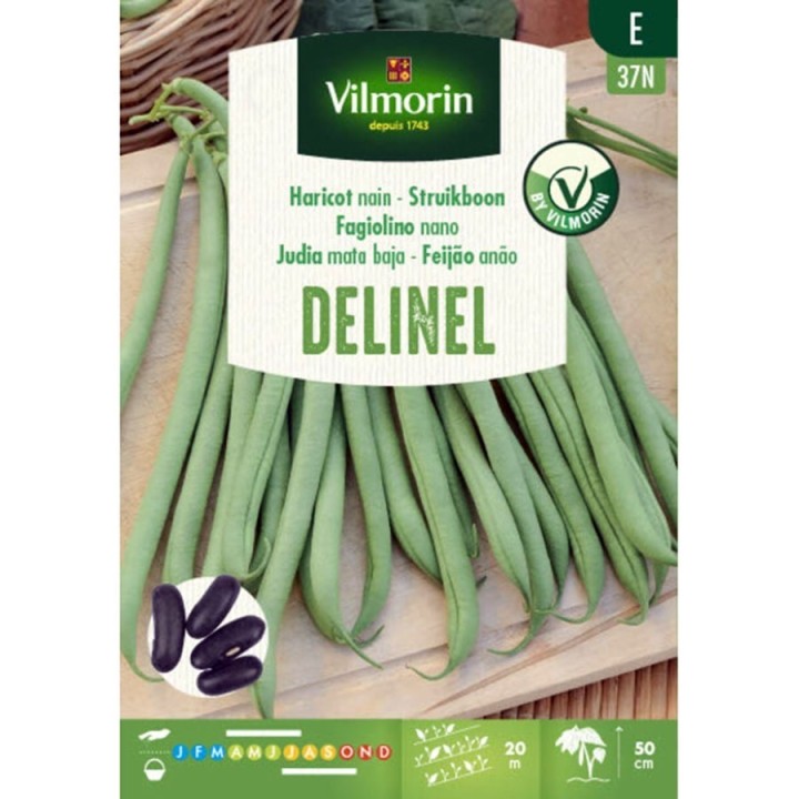 Semillas Judia Mata Baja Delinel 125grs Vilmorin