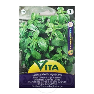 Semilla Albahaca Grande Verde 3g