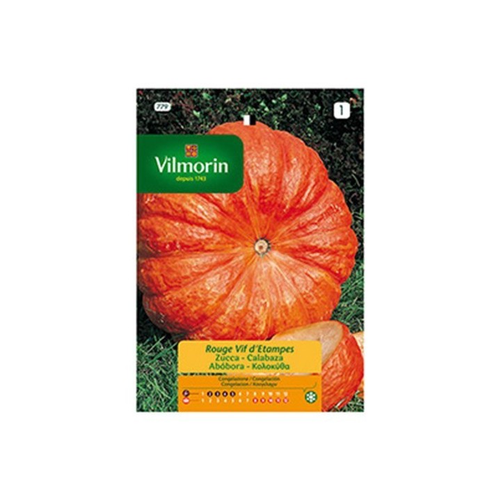 Semilla Calabaza Rojo Vivo de Etampes