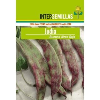 Judia  Buenos Aires Roja 250gr.
