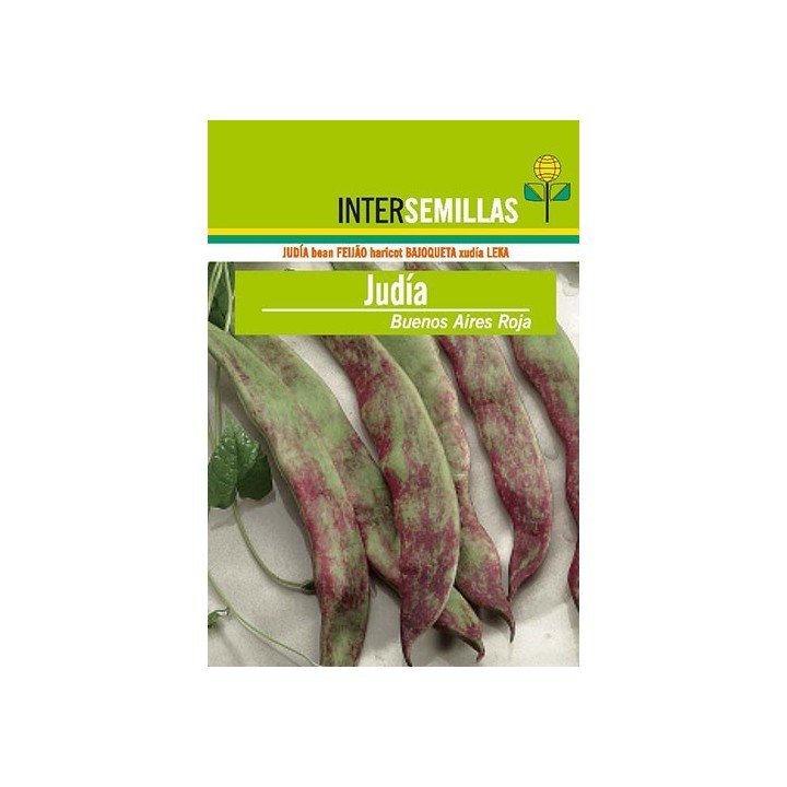Judia  Buenos Aires Roja 250gr.