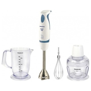 Robot Taurus 400 Plus Inox