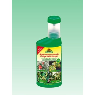 Neudo - Vital Concentrado Ecologico