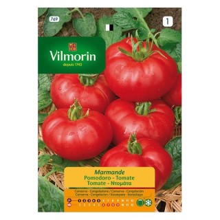 Semilla Tomate Marmande