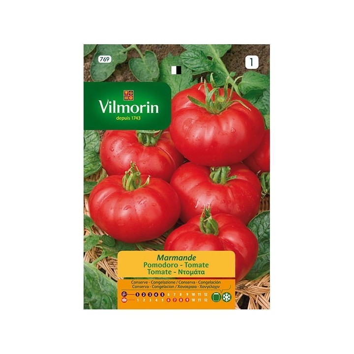 Semilla Tomate Marmande