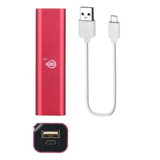 Power Bank 2600mah