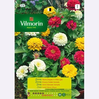 Semilla Zinnia Enana Doble Variada