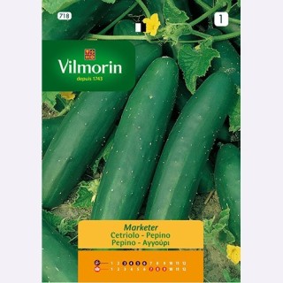 Semilla Pepino Marketer