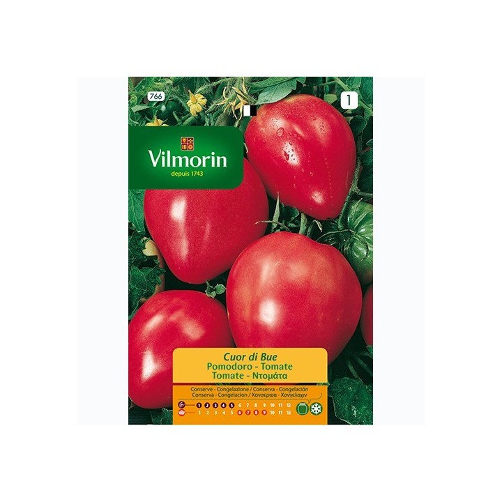Semilla Tomate Corazon de Buey