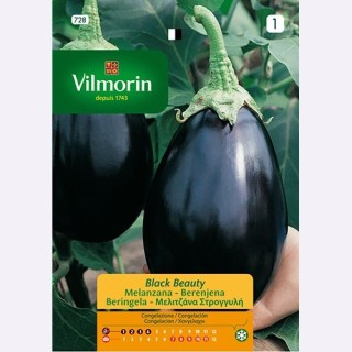 Semilla Berenjena Black Beauty