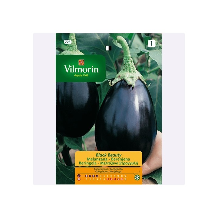 Semilla Berenjena Black Beauty