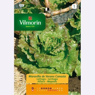 Semilla Lechuga Maravilla de Verano Canasta