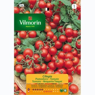 Semilla Tomate Cereza
