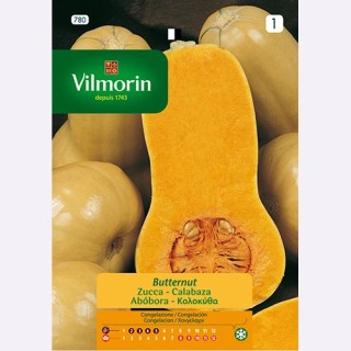 Semilla Calabaza Butternut