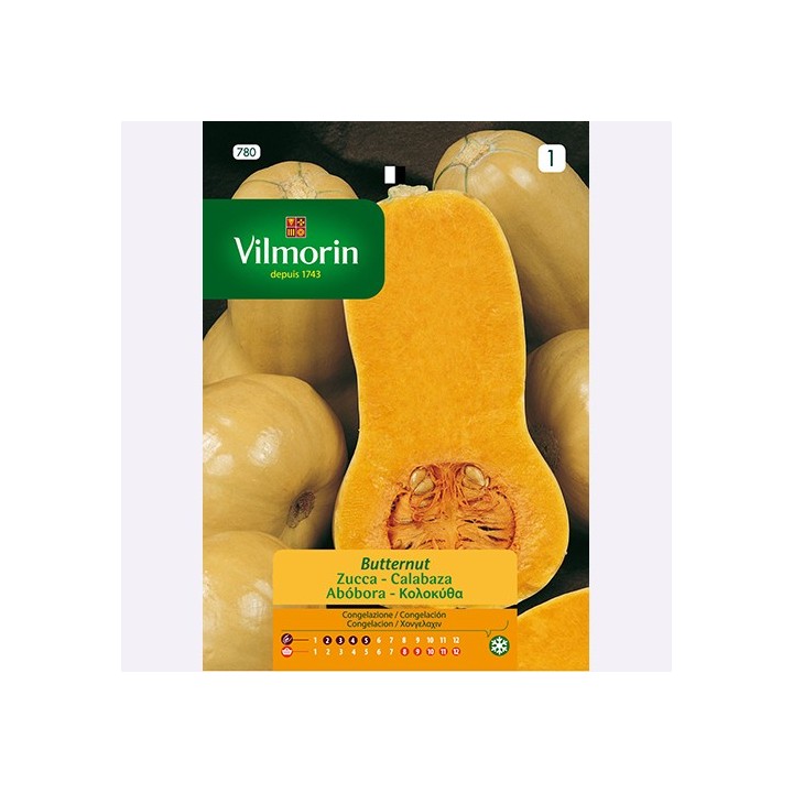 Semilla Calabaza Butternut