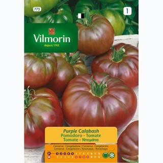 Semilla Tomate Purple Calabash