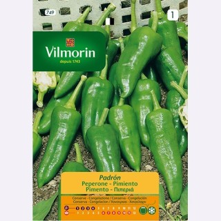 Semilla Pimiento Padron