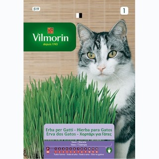 Semilla Hierba para Gatos 20g
