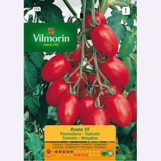 Semilla Tomate Roma VF