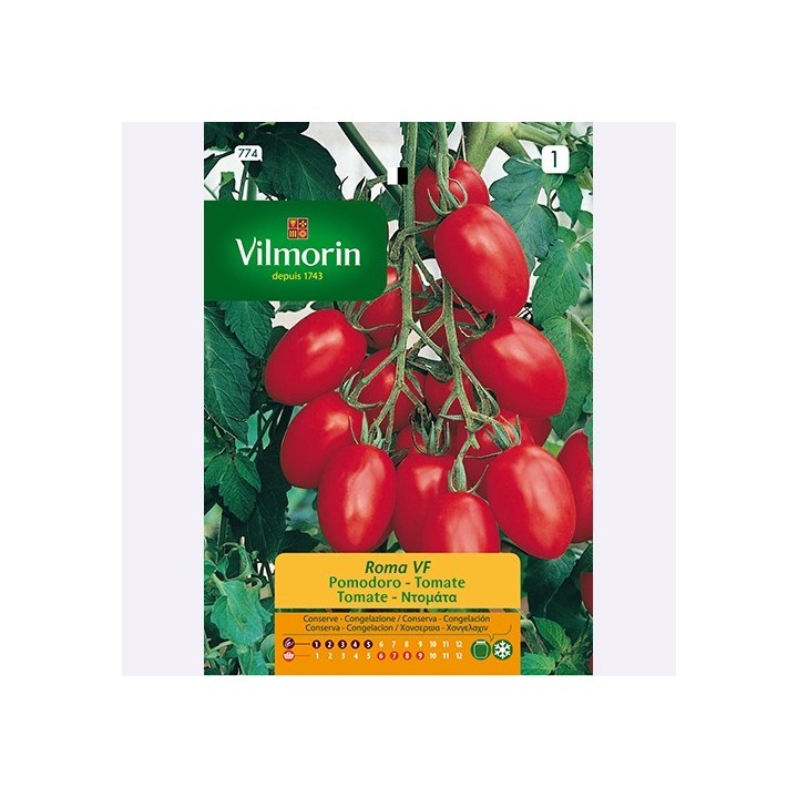 Semilla Tomate Roma VF