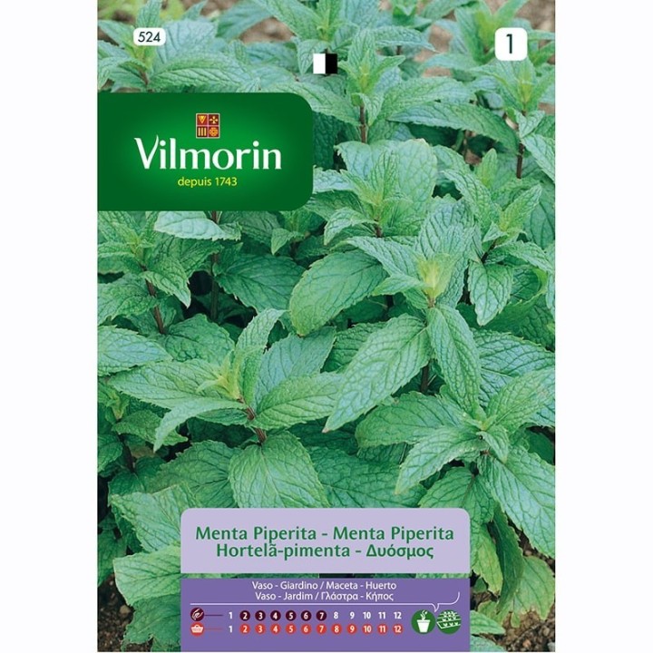 Semilla Menta Piperita 0.3g
