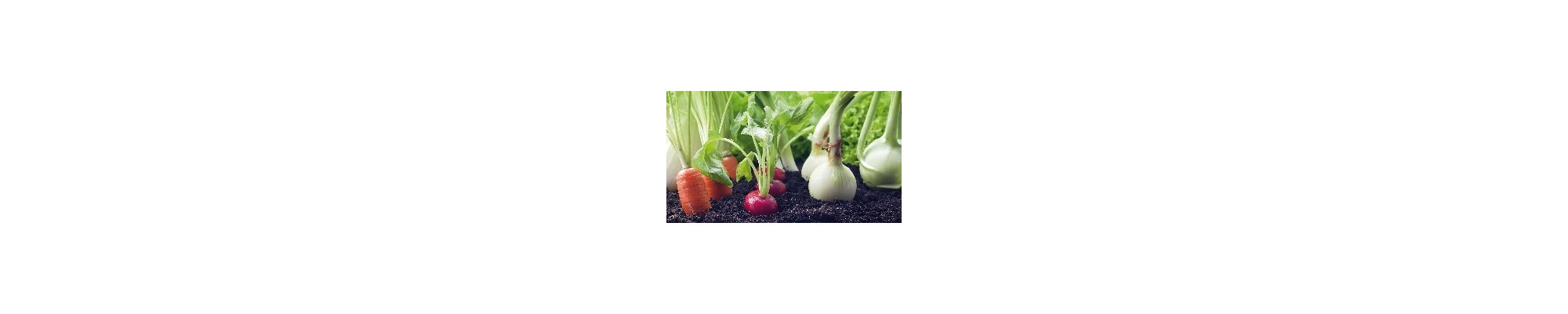 Productos para Huerta y Jardín | Cuidado Profesional y Eco