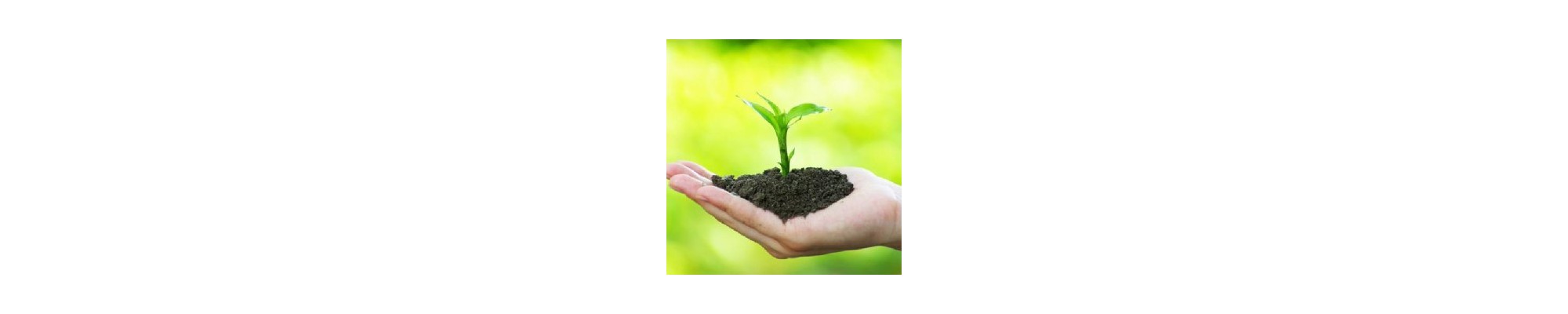 Abonos para Jardín y Huerta | Nutrición Plantas | Fertiberia