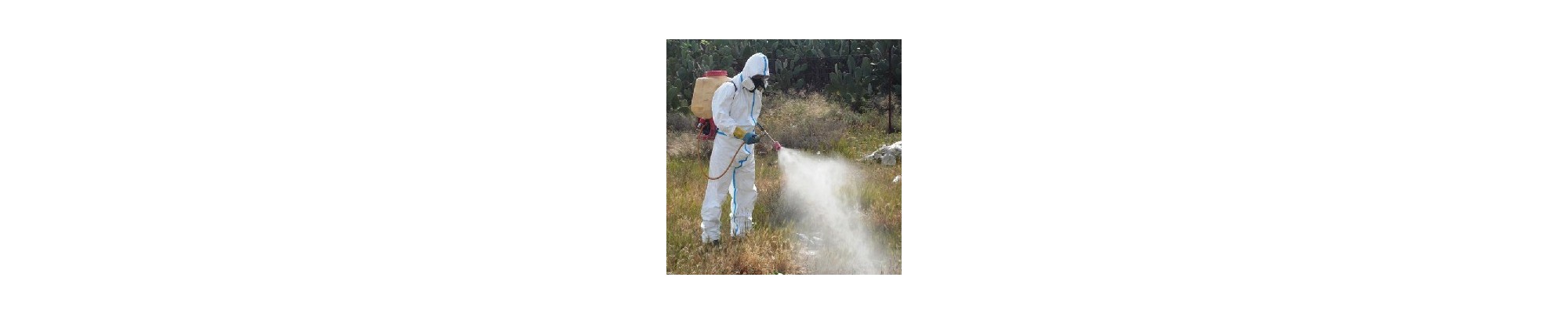 Fitosanitarios para el Jardín: Protege tus Plantas y Huerto