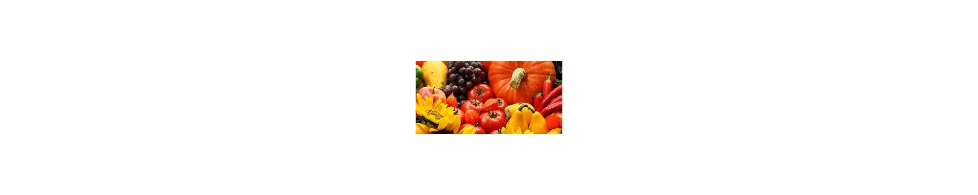 Compra Plantas Online: Variedad, Calidad y Envío Seguro