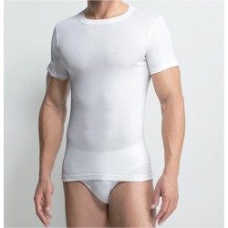 Camiseta Caballero M/C Cuello Redondo