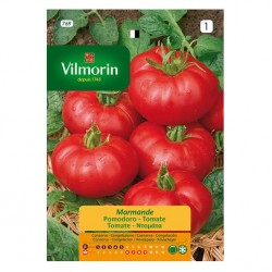 Semilla Tomate Marmande Semilla Tomate Marmande