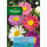 Semilla Reina Margarita Simple Variada