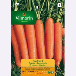 Semilla Zanahoria Nantesa 3 Semilla Zanahoria Nantesa 3