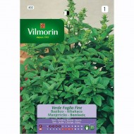 Semilla Albahaca Fina Verde
