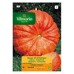 Semilla Calabaza Rojo Vivo de Etampes Semilla Calabaza Rojo Vivo de Etampes