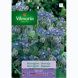 Semilla Borraja Semilla Borraja