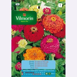 Semilla Zinnia de California Variada Semilla Zinnia de California Variada