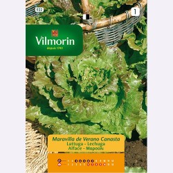 Semilla Lechuga Maravilla de Verano Canasta Semilla Lechuga Maravilla de Verano Canasta