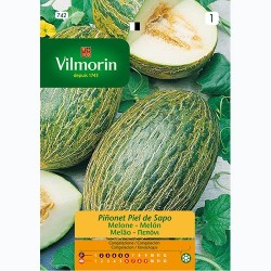 Semilla Melon Piel de Sapo Semilla Melon Piel de Sapo