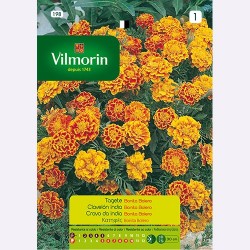 Semilla Tagete Bonita Bolero Semilla Tagete Bonita Bolero