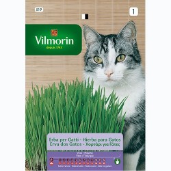 Semilla Hierba para Gatos 20g Semilla Hierba para Gatos 20g