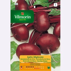 Semilla Remolacha de Mesa Semilla Remolacha de Mesa