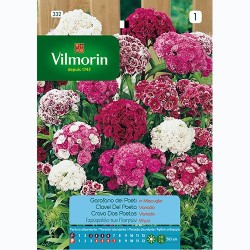 Semilla Clavel del Poeta Variado Semilla Clavel del Poeta Variado