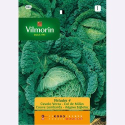 Semilla Col de Milan Virtudes 4 Semilla Col de Milan Virtudes 4