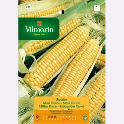 Semilla Maiz Dulce Rustle Semilla Maiz Dulce Rustle