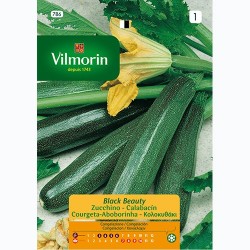 Semilla Calabacin Black Beauty Semilla Calabacin Black Beauty