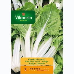 Semilla Acelga Amarilla de Lyon 2 Semilla Acelga Amarilla de Lyon 2