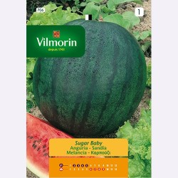 Semilla Sandia Sugar Baby Semilla Sandia Sugar Baby