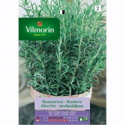 Semilla Romero Semilla Romero